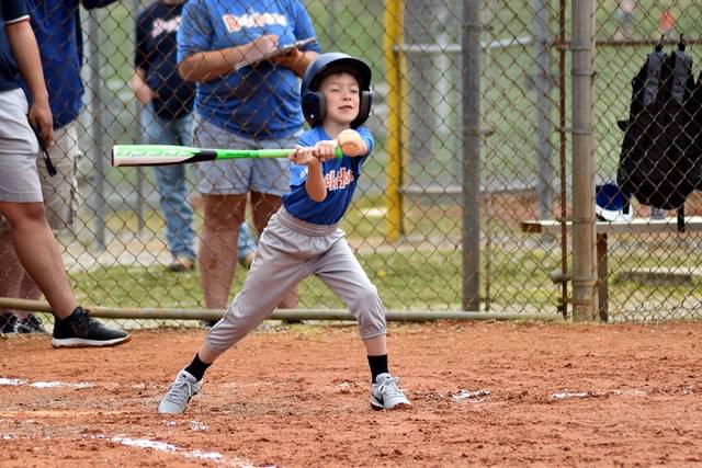 Photo Gallery: New Tazewell Little League Opening Day - Claiborne 