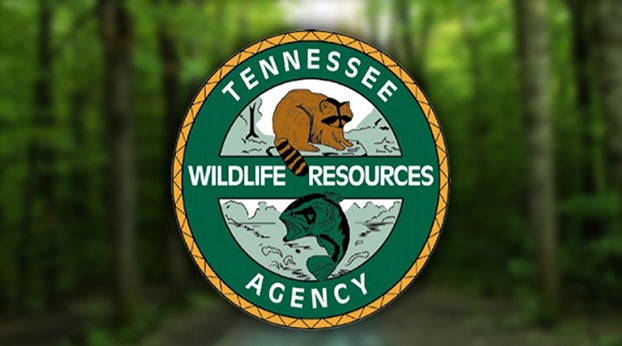 Sen Mike Bell Leaving Role For Position At The Tennessee Wildlife
